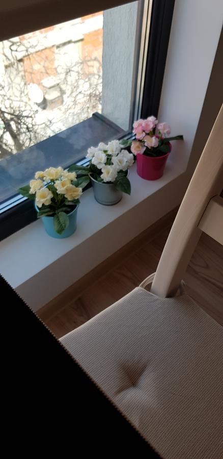Confort 3 Apartament *